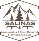 Salinas Landscaping & Snow Removal Maintenance LLC logo